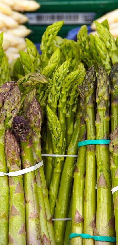 asparagus-5041774-1920