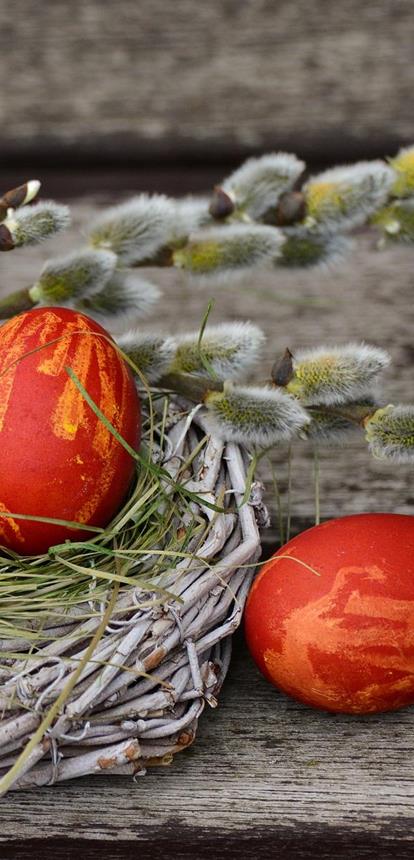 pixabay-ostern-eier