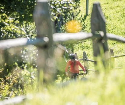 bikesommer
