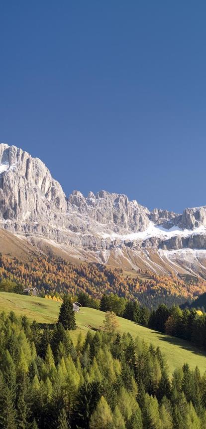 smg02969clza-dolomiten-rosengarten