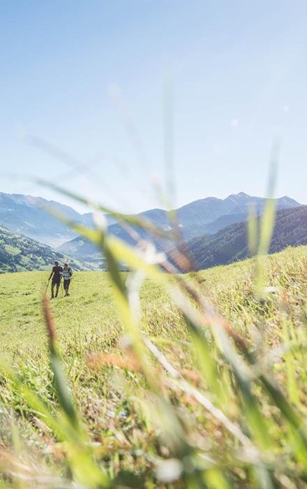 plunhof-aktiv-wandern