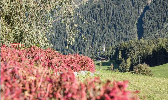 plunhof-sommer-biken-049