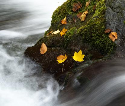 pixabay-herbst-landschaft