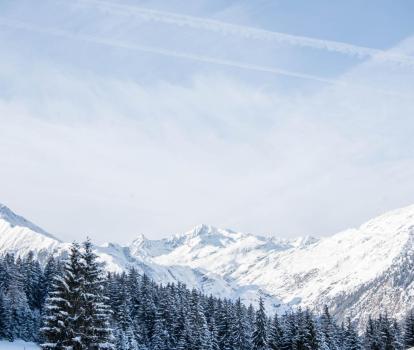 plunhof-winter-6033
