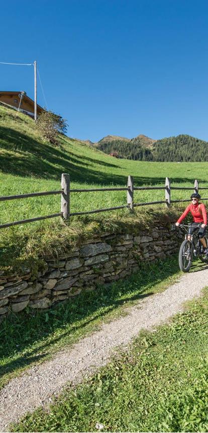 plunhof-sommer-biken-086